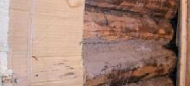 Можно ли картоном или целлюлозой утеплить стены и пол дома