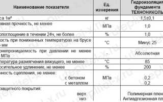 Обмазочная гидроизоляция ТехноНИКОЛЬ
