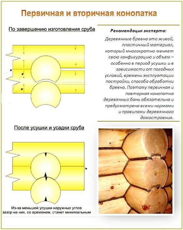 Сруб до усушки и после